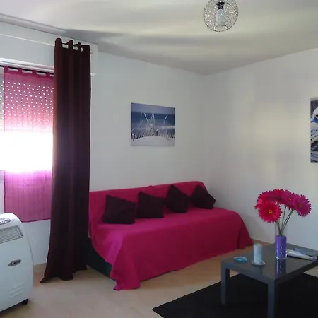 استوديوز أ غولف جوان جولْف جو